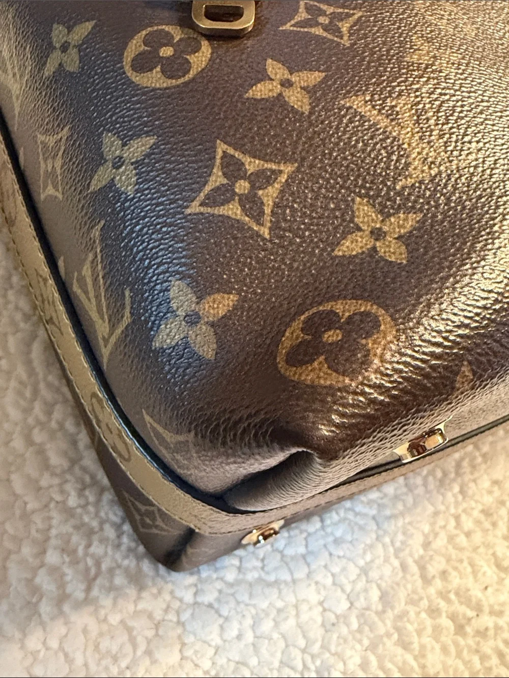 Louis Vuitton authentic louis